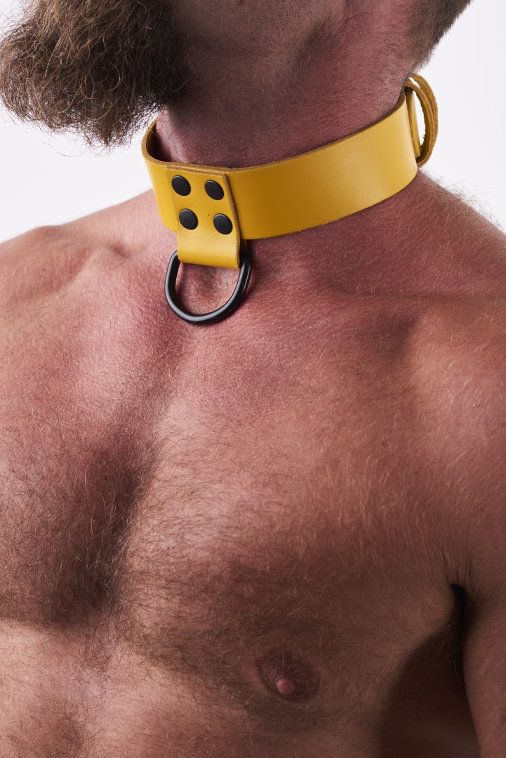 Leather Collar Yellow